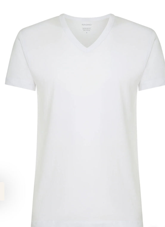 601418 - Intimo - RAGNO