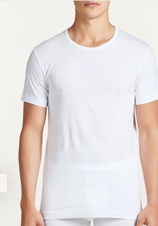 601417 - Intimo - RAGNO