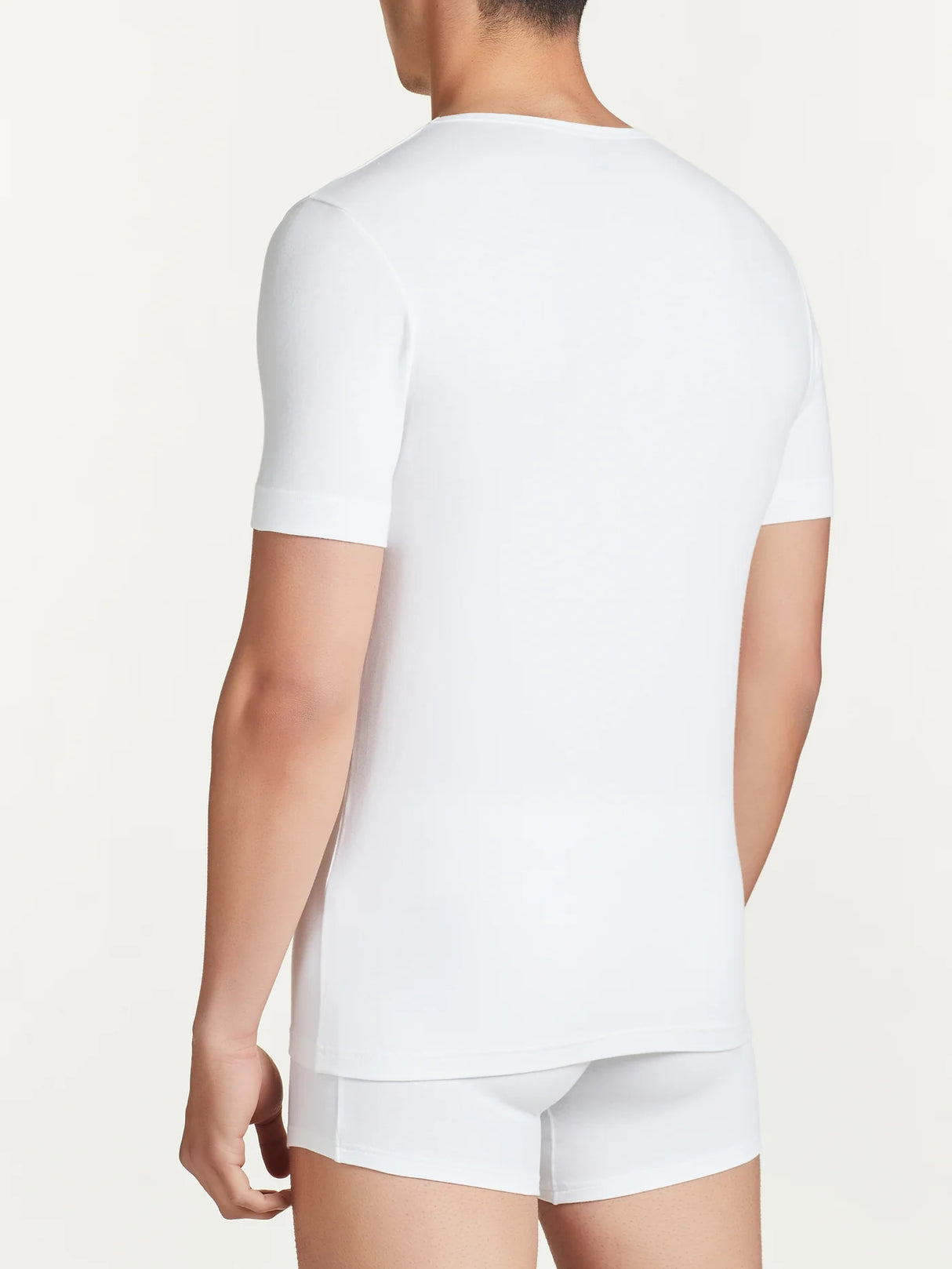 621478 - Intimo - RAGNO