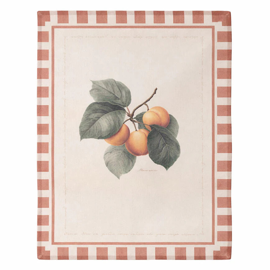 A39904 - Biancheria Cucina - BLANC MARICLO