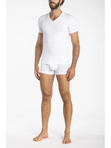6071V - Intimo - JULIPET