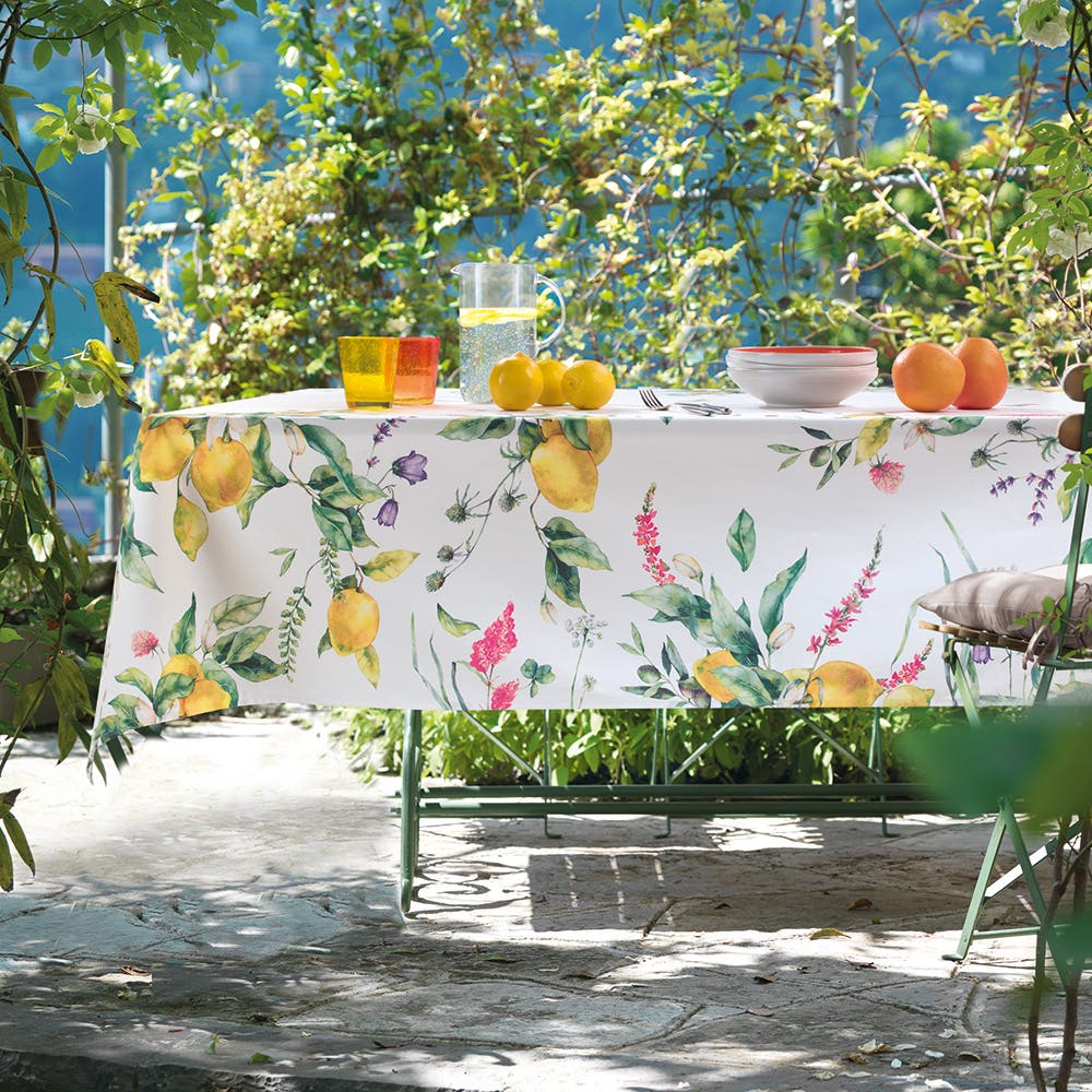 24430 CITRUS - Biancheria Cucina - VALLESUSA