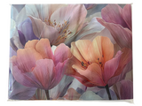 botticelli DIS6 - Biancheria Letto - Botticelli home
