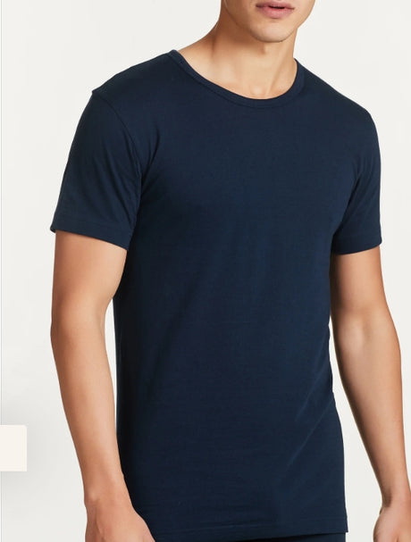 601417 - Intimo - RAGNO