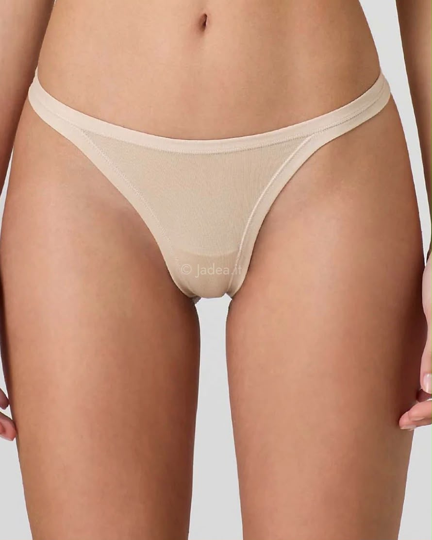 508 - Intimo - JADEA